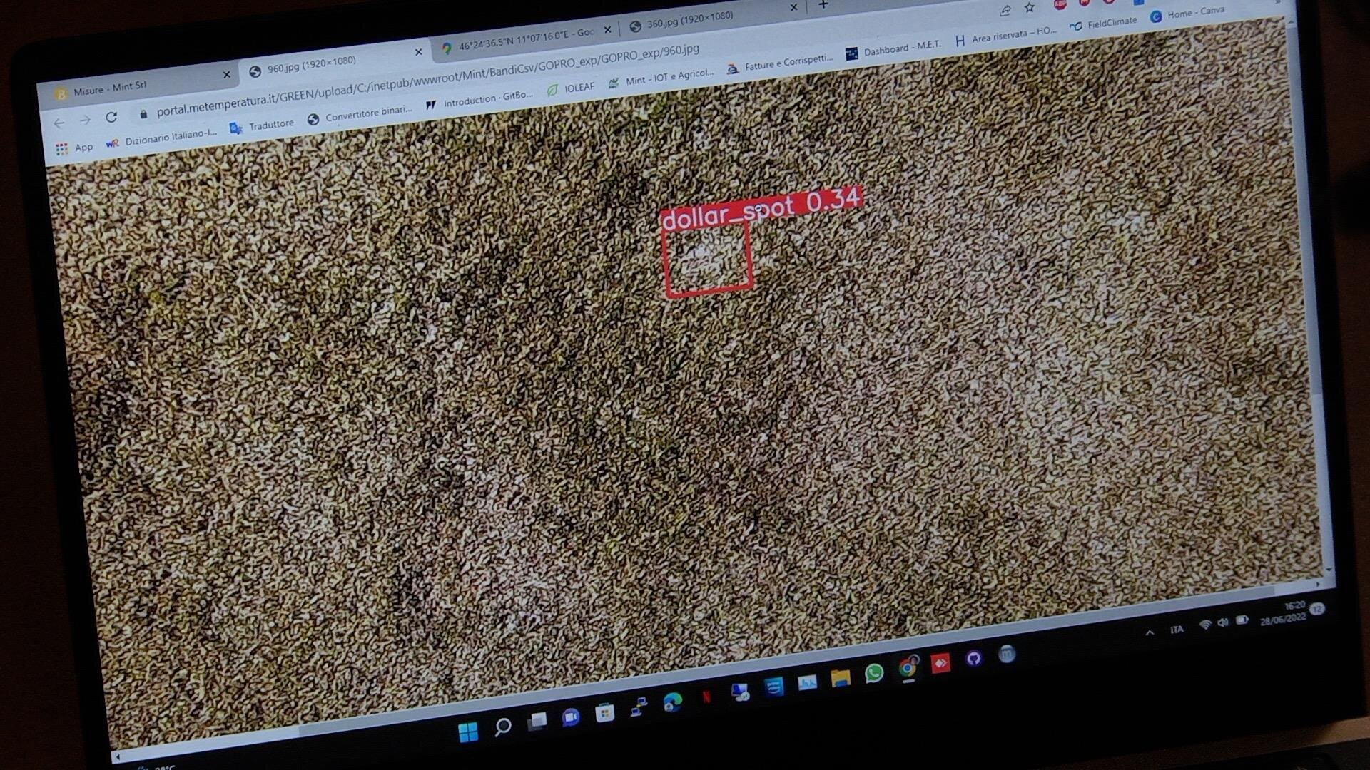 Public Image 2022 Foto Mint 02