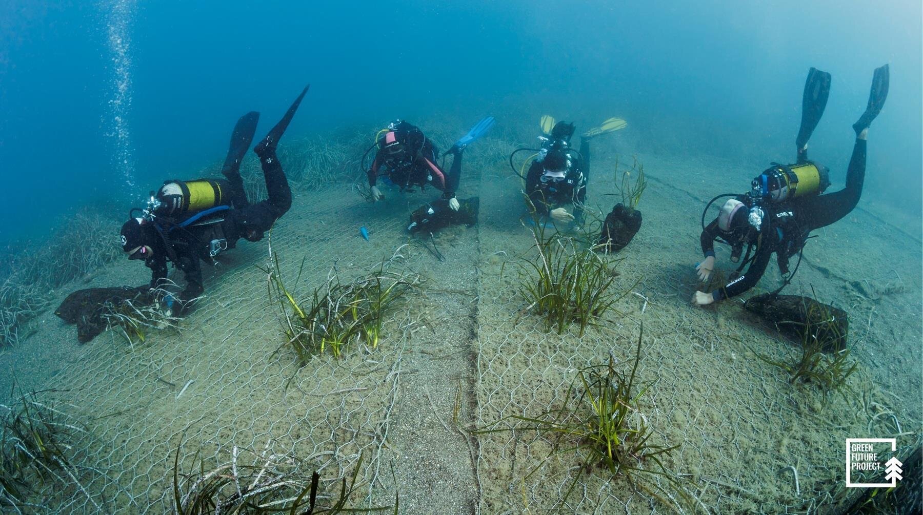 Public Image Comunicati 2025 Progetto Rigenerazione Marina In Italia Green Future Project