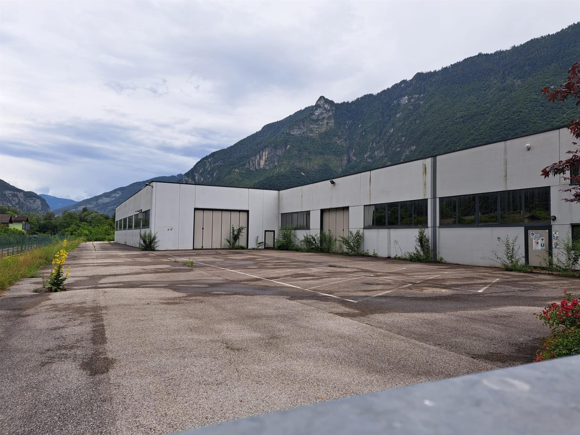 Public Image Comunicati 2025 Meccanica Reguzzo 2