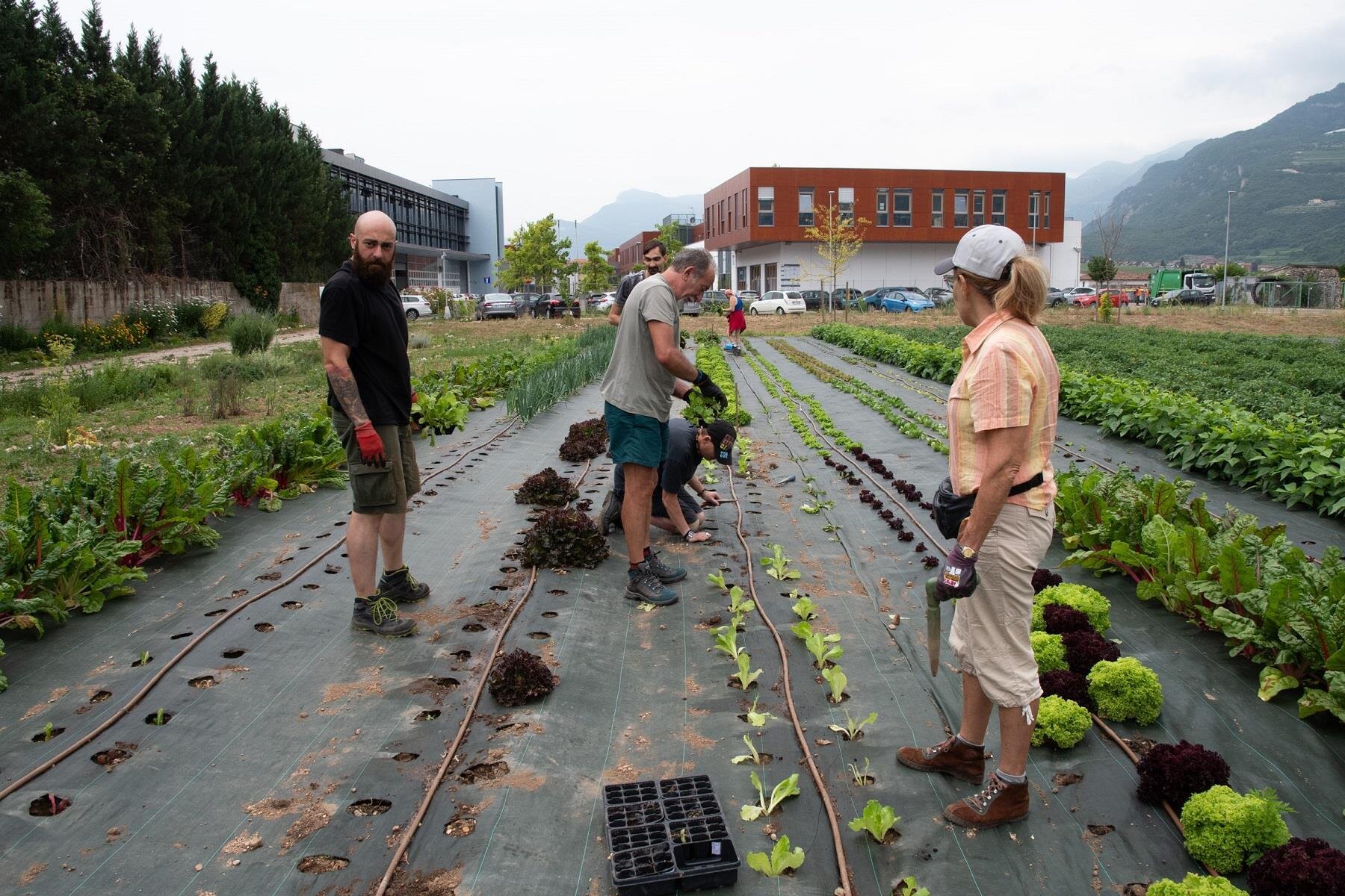 Public Image 2022 Micoltivo Orto