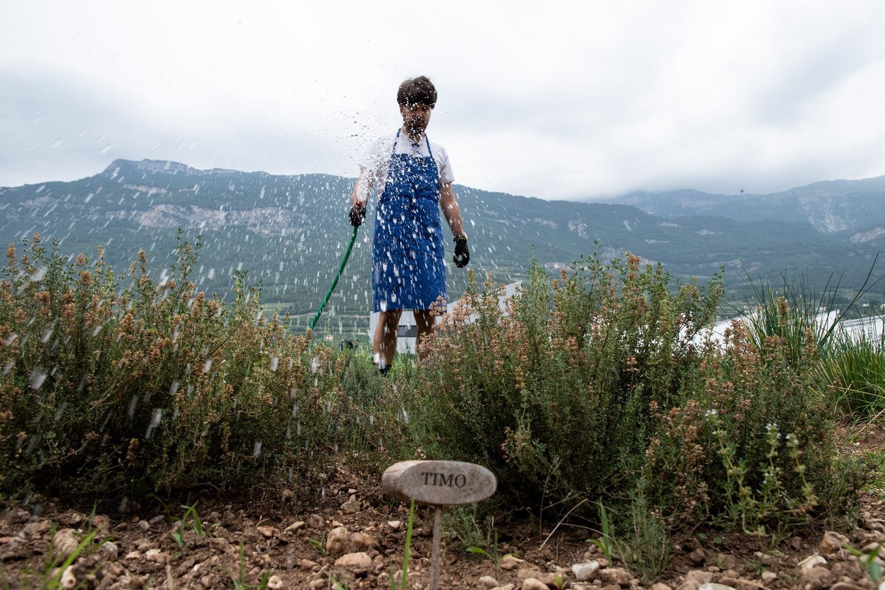 Public Image 2022 Micoltivo Erbe Aromatiche