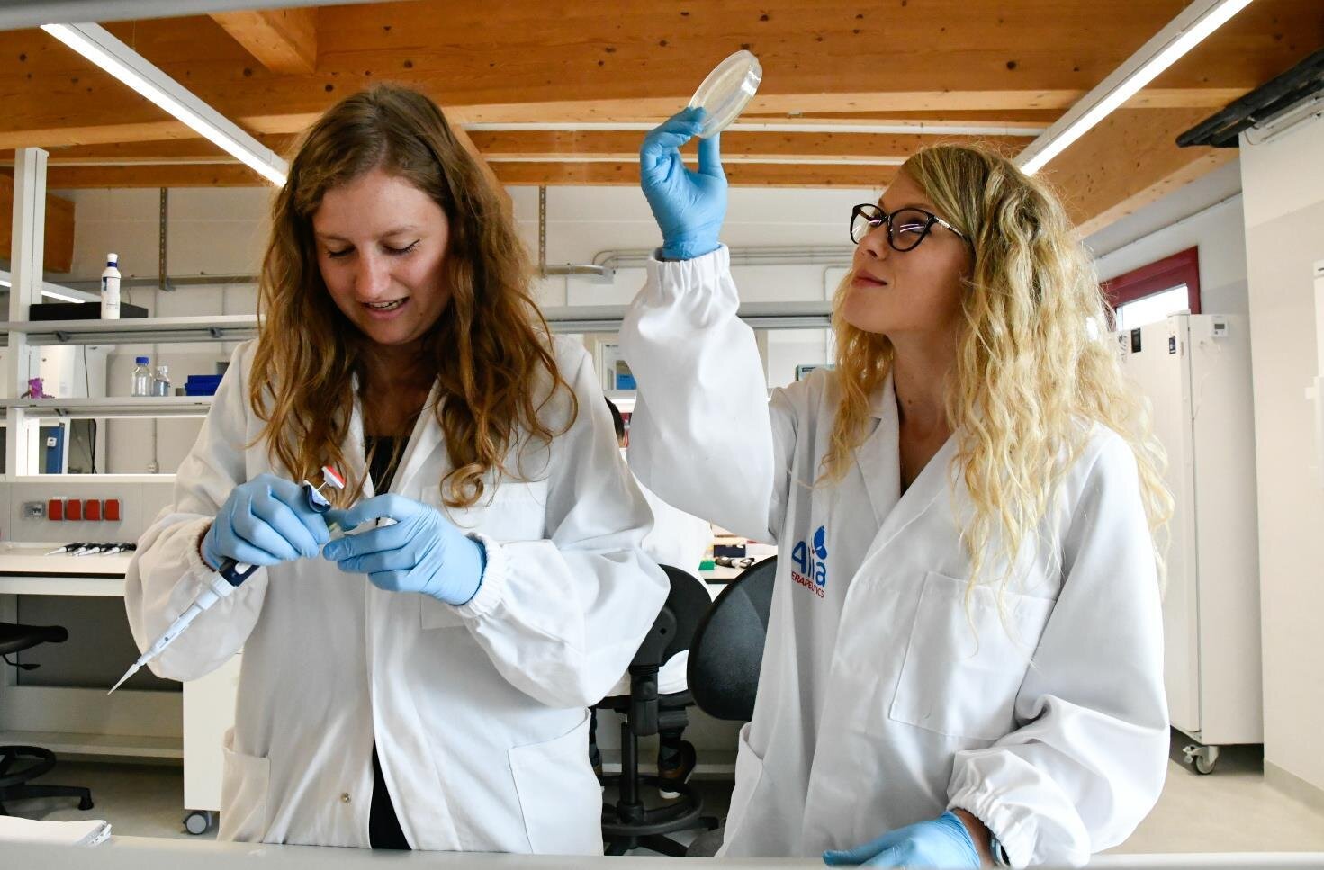 Public Image Comunicati 2024 Pergine Valsugana 2