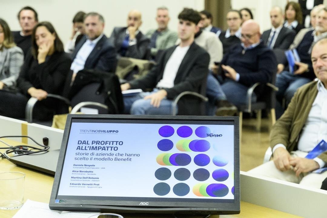 Public Image Comunicati 2025 Modello Benefit 3