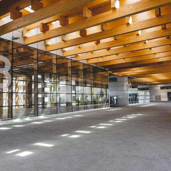 Incubatori E Insediamenti