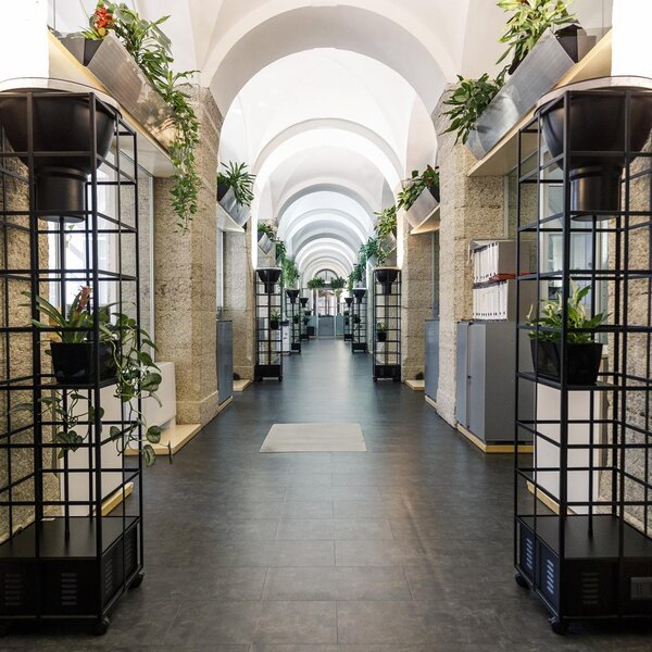 Startup e Innovazione