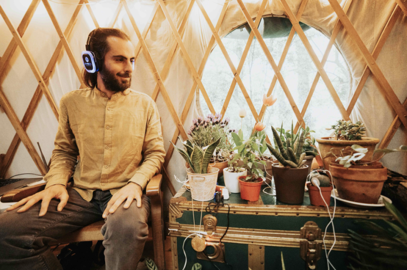Plants Play Orchestra In Tspace