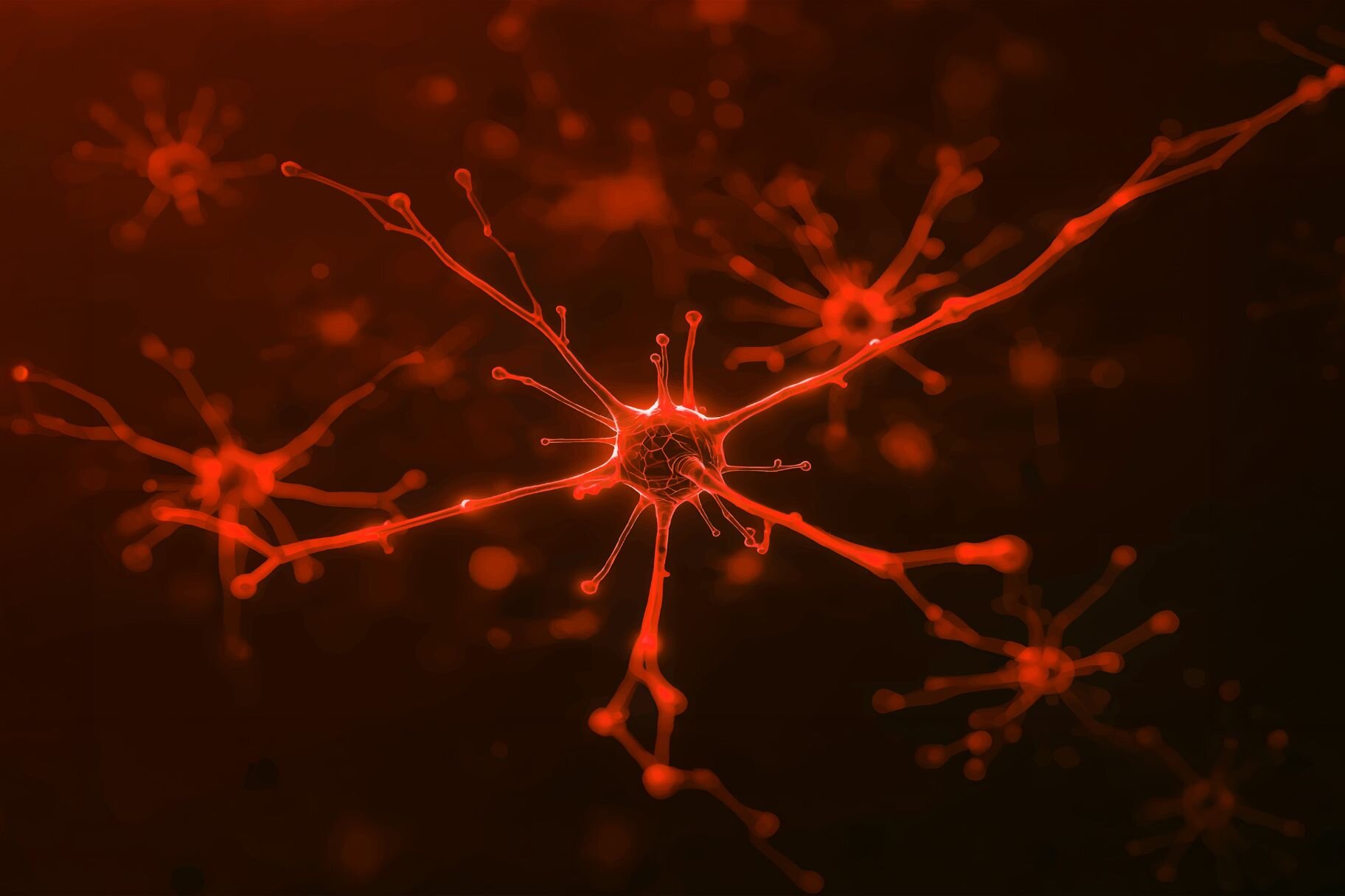 Neurotecnologie dal cervello all’interazione