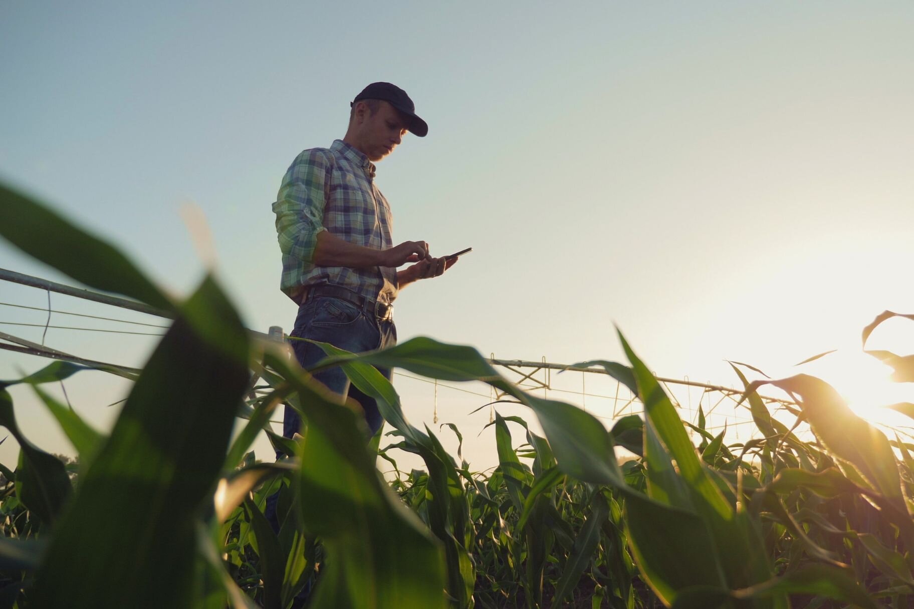 Agricoltura resiliente