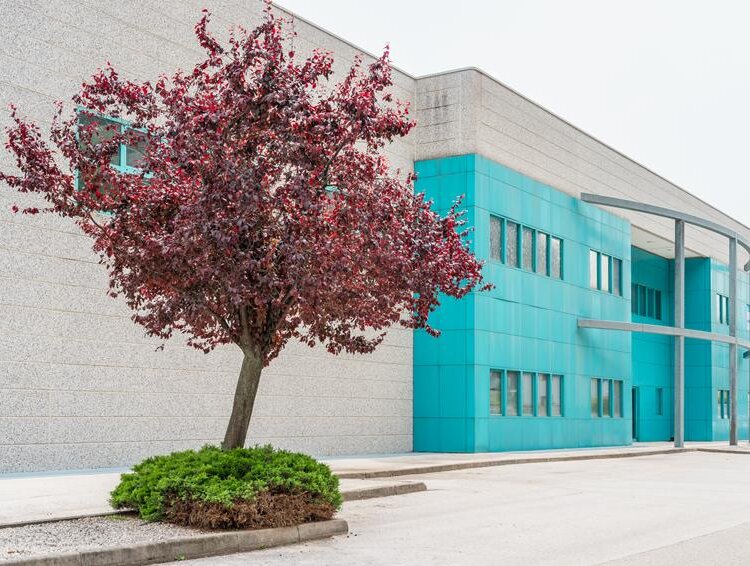 Bic Mezzolombardo Giorgia Antiga 19 Copy