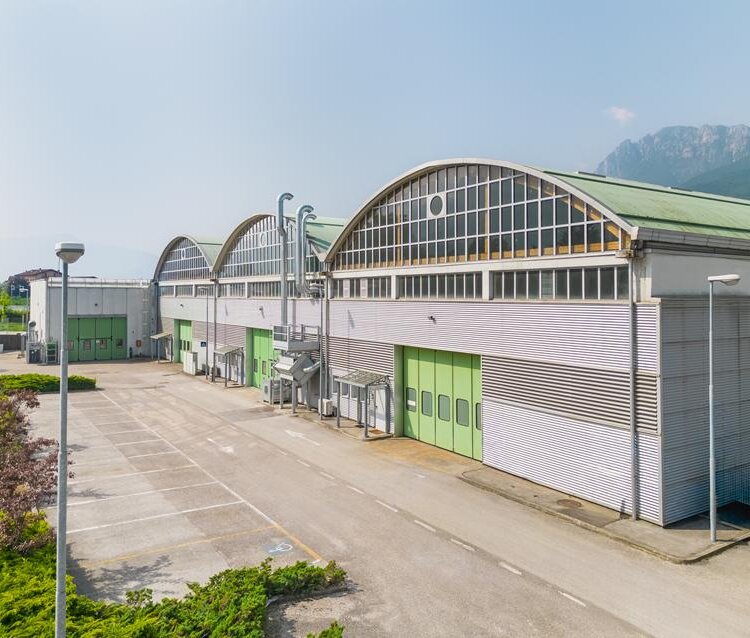 Bic Pergine Giorgia Antiga 1 Copy