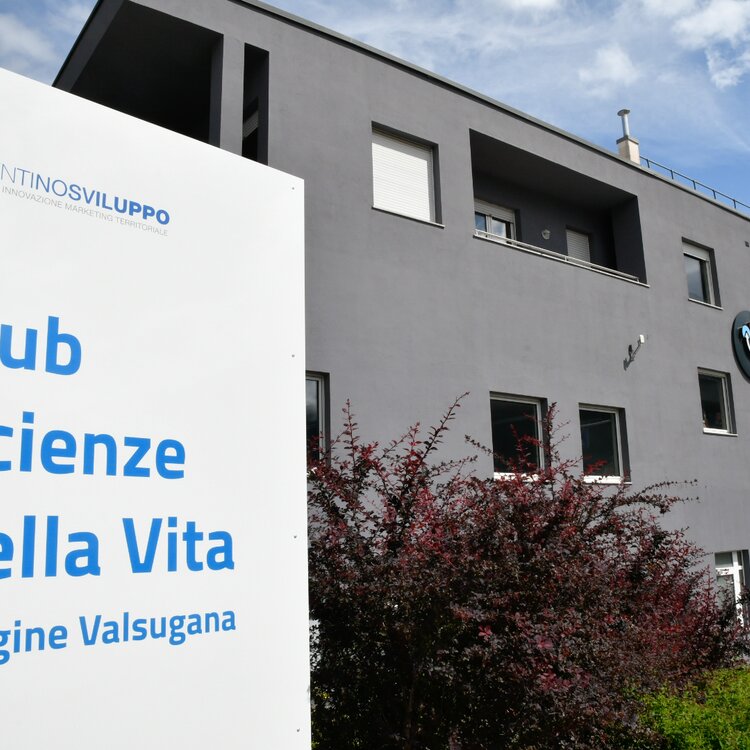 Hub Scienze Della Vita