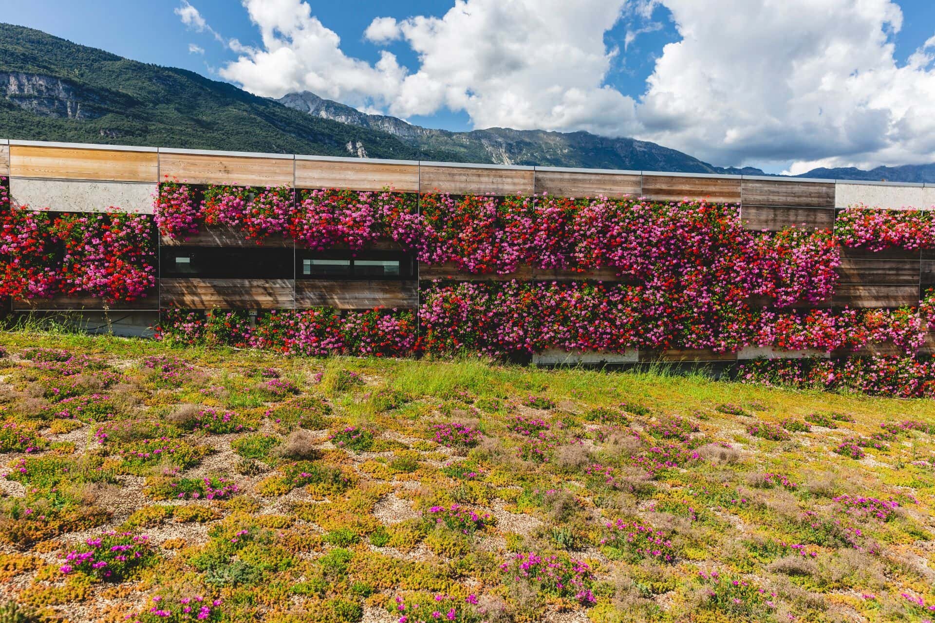 Zigherane, docenti, scienziate: storie di donne di ieri e di oggi