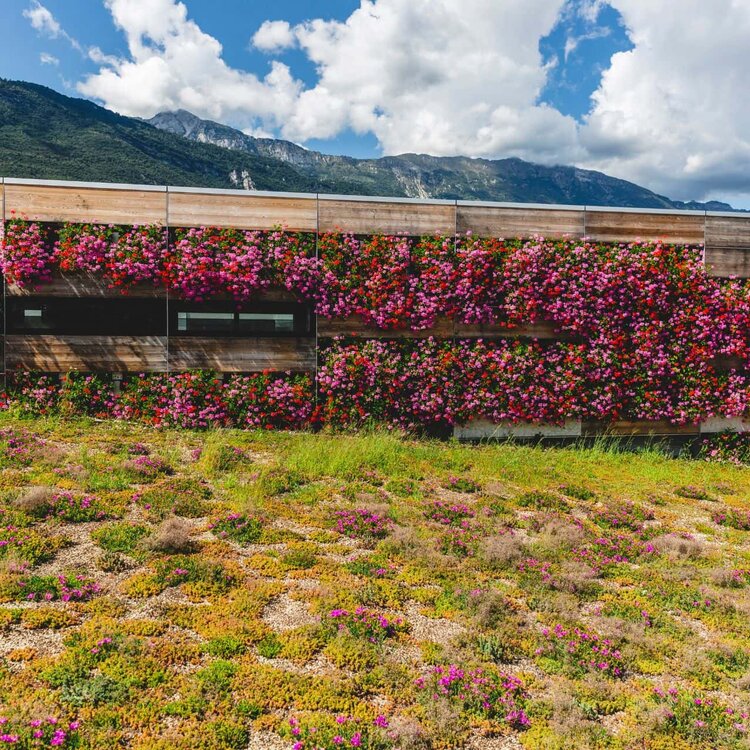 Trentinosviluppo Presskit Michelepurin