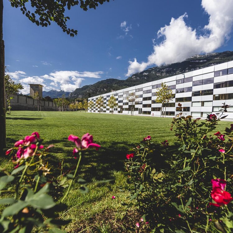 Be Factory Michele Purin Copy