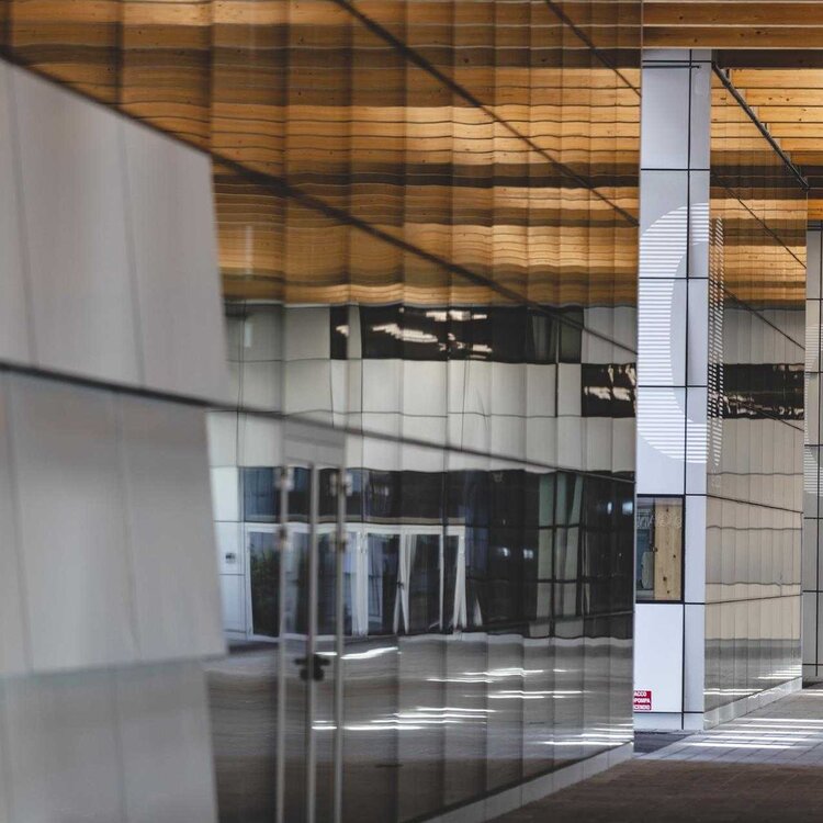 Viale Lazzari Michele Purin 2