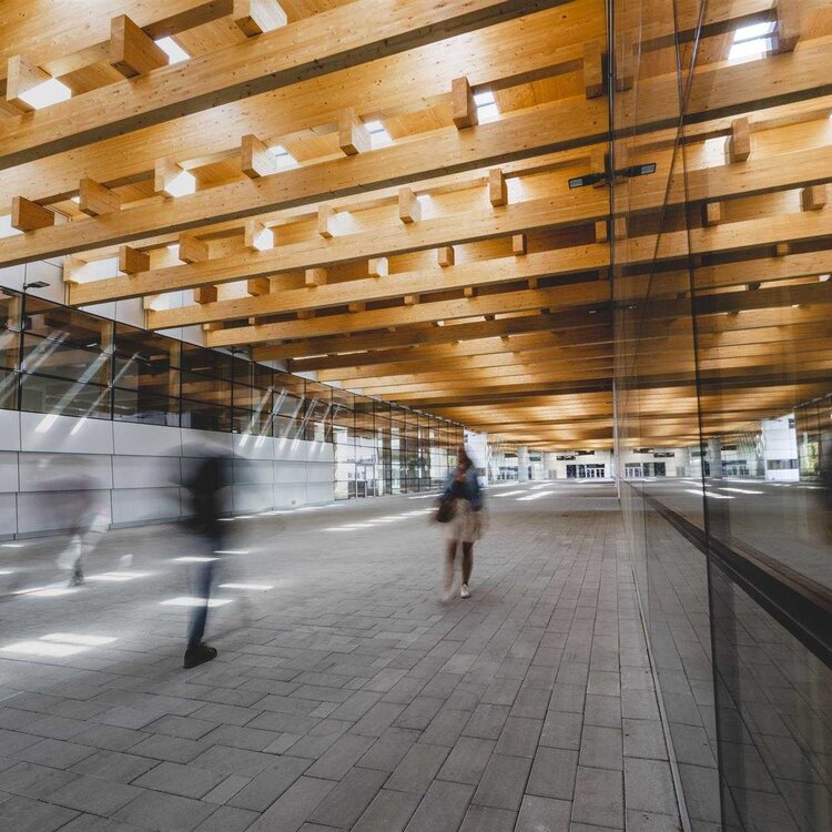 Viale Lazzari Michele Purin 3